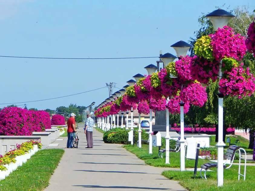 Novi Be ej Serbia 
