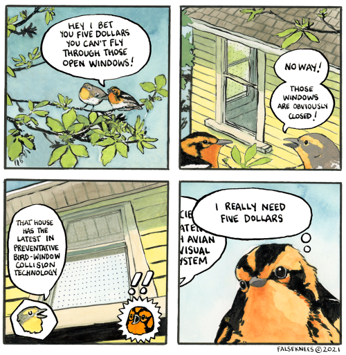falseknees:Hey pals! A bit of a different comic this week! I made this working with Bird Safe Guelph