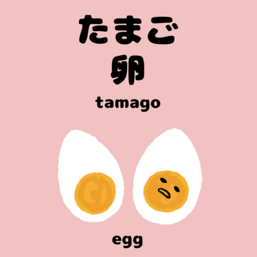 Vocabulary Word 7 :たまご卵tamagoegg