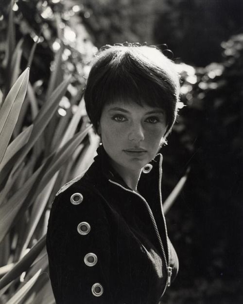 doyouloveshorthair:  Retro short hair. Jacqueline Bisset, 1965.