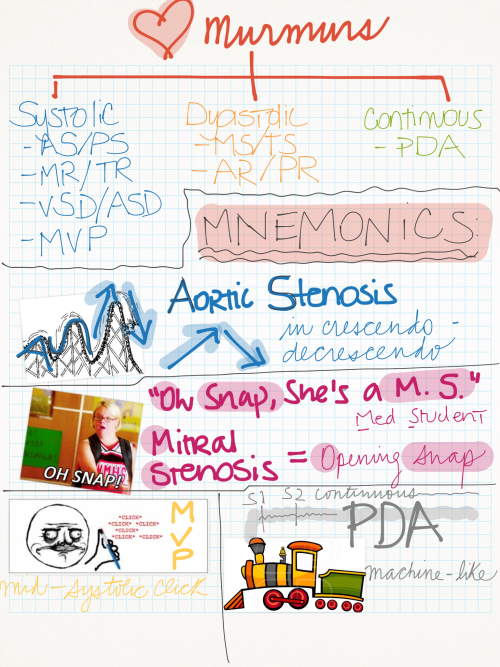 mynotes4usmle:Cardio Mnemonics for Review Heart Sounds Heart Murmurms  Murmurs & Maneuvers 