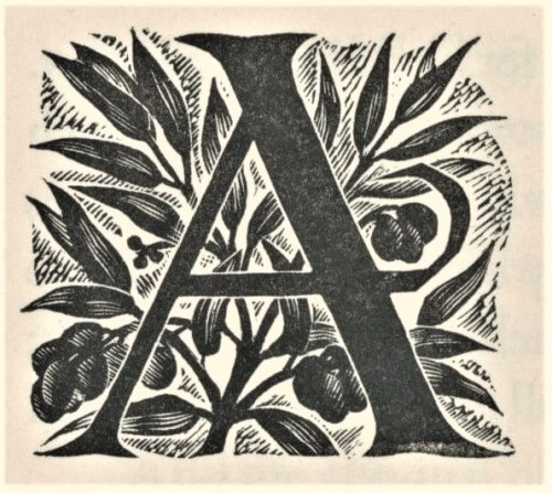 Typography TuesdayLast week we presented wood engravings by the English-American artist Nora S. Unwi