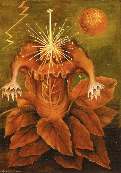 electripipedream: Frida Kahlo, Flower of Life (Flame Flower), 1943