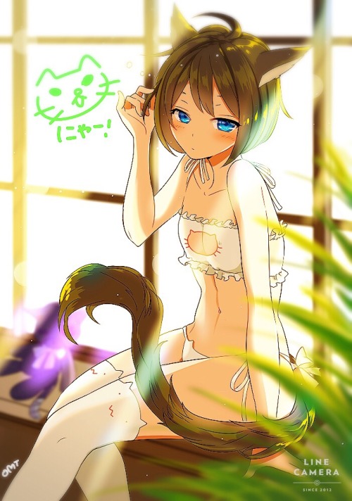little-miss-ayumi:  lewd-lounge:  Pettanko Cat Lingerie set requested by @mexiwolf All art is s