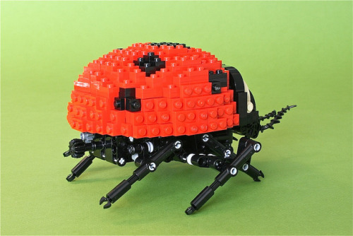 klikkinfo:
“Technic Ladybird / Technic katica
source / forrás: arcanemettles
”
This is an awesome ladybug! Love all the detail!