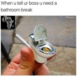 lekememes:  When you tell your boss you need