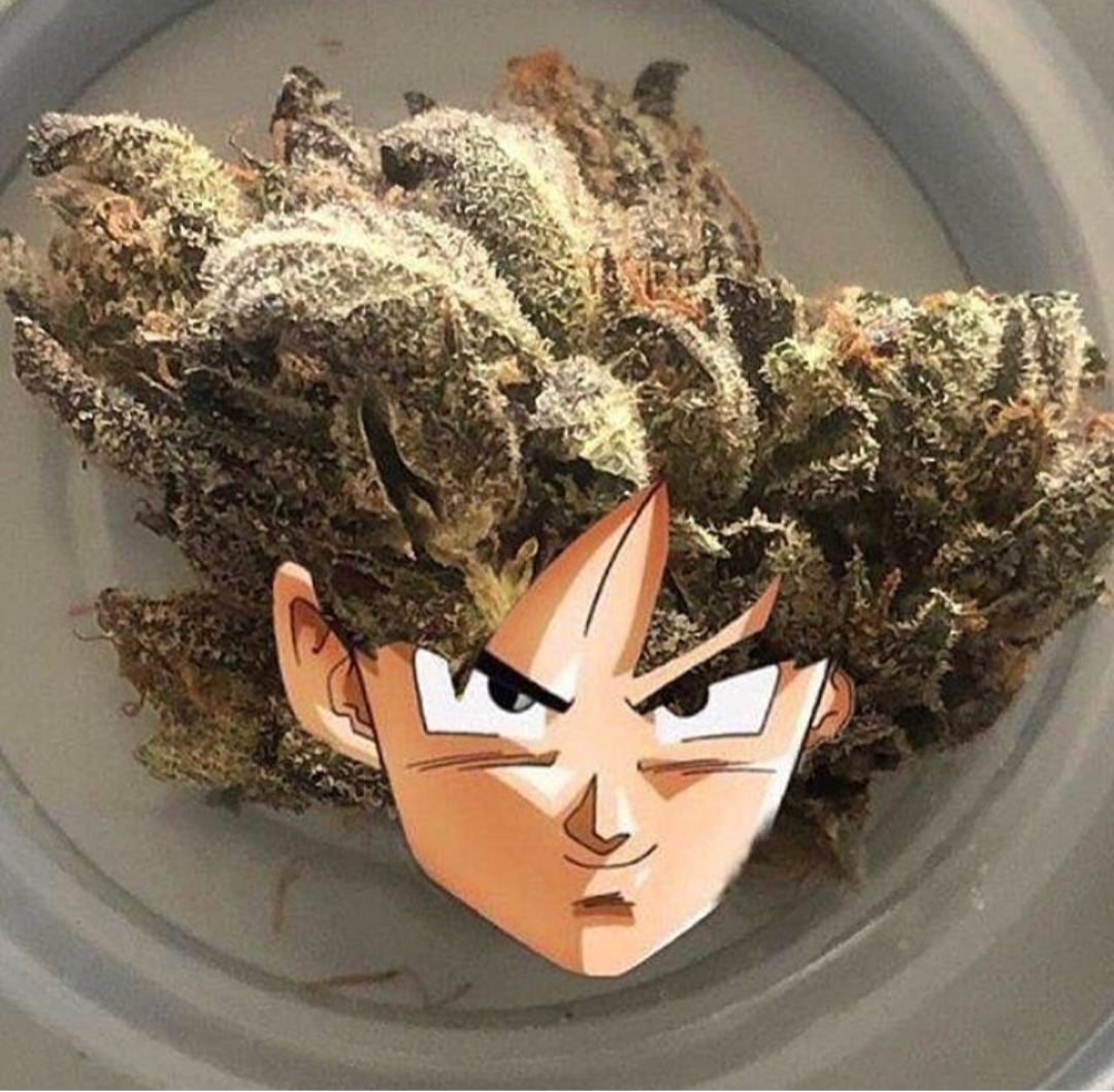markykushman:  weedfordays:    www.stonersdome.xyz 