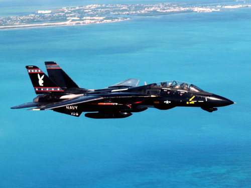 enrique262:  One hell of a sexy-looking F-14 Tomcat, belonging to VX-9 “The Vampires” air test and evaluation squadron.   Love it