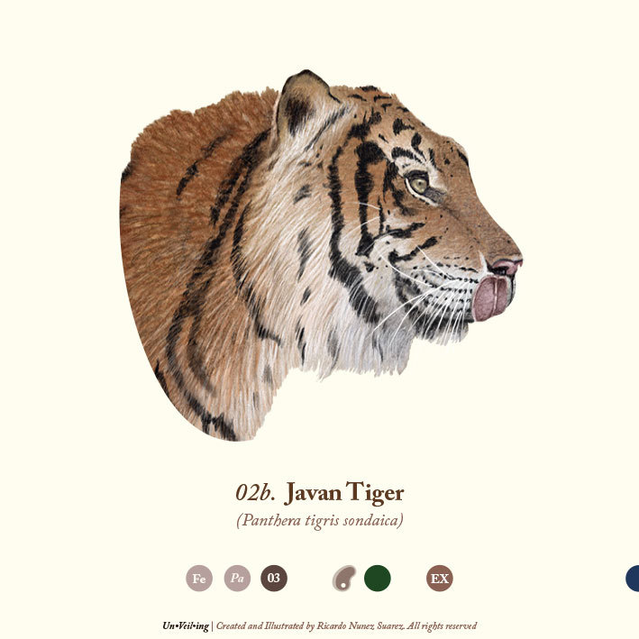 Javan tiger