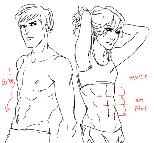 Art References  How to draw abs Art reference Drawings