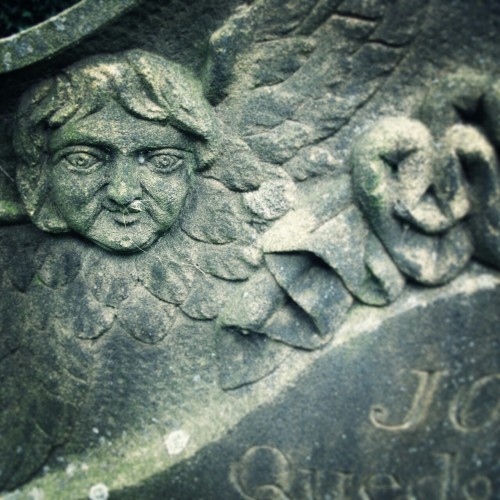 detail, Baptist burial ground, Tewkesbury