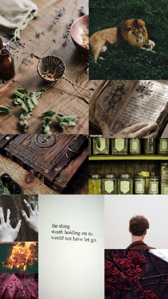 Neville Longbottom