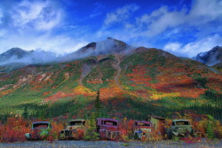 nubbsgalore:  photographer robert postma happened upon a collection of long abandoned trucks which, now colourfully rusted and corroded, have blended into the autumn tundra backdrop of their resting place in the yukon territory.