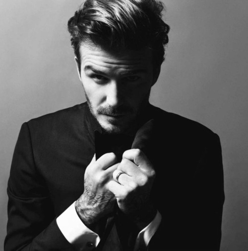 senyahearts:  David Beckham for Vogue Paris, December 2013.  Title: Love Story  Photographed by: Inez & Vinoodh 