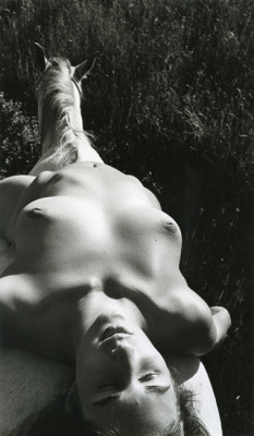 gacougnol:  Chris Enos Nude #4 1972 