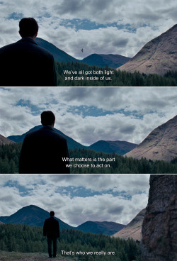 anamorphosis-and-isolate:  ― Harry Potter and the Order of the Phoenix (2007)Sirius: We’ve all got both light and dark inside of us. What matters is the part we choose to act on. That’s who we really are.