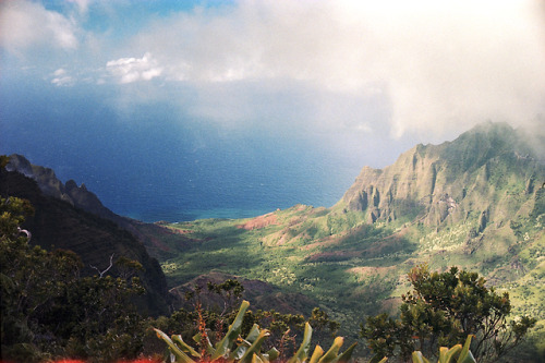 the69thdimension:Nā Pali Coast, Kauai.Svema 125 // Leica M5