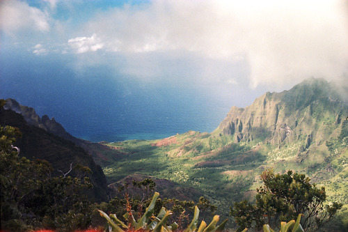 the69thdimension: Nā Pali Coast, Kauai. Svema 125 // Leica M5