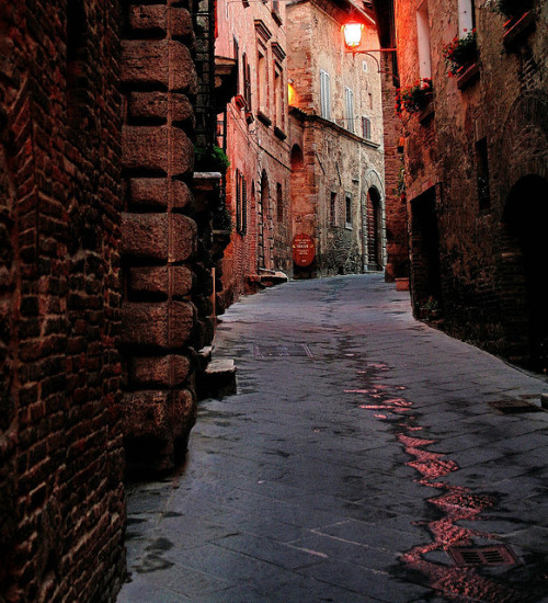 | ♕ |  Montepulciano at dusk - Tuscany  | by © wolfsviews | via ysvoice