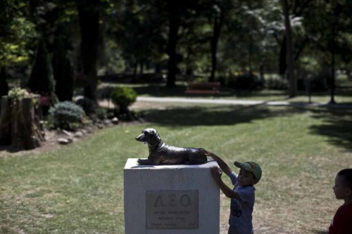 congenitaldisease: This is a statue to commemorate a brave little dog by the name of Leo, who died w