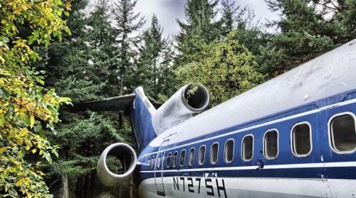 It’s something you wouldn’t expect to find hidden deep inside the Oregon woods. Yet, that’s where th