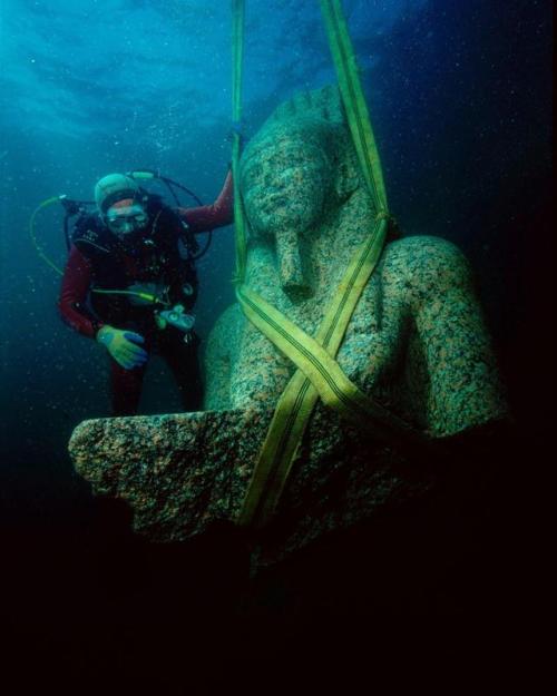 historyarchaeologyartefacts:Diver excavates porn pictures