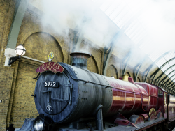 simplypotterheads:  A peek into Diagon Alley