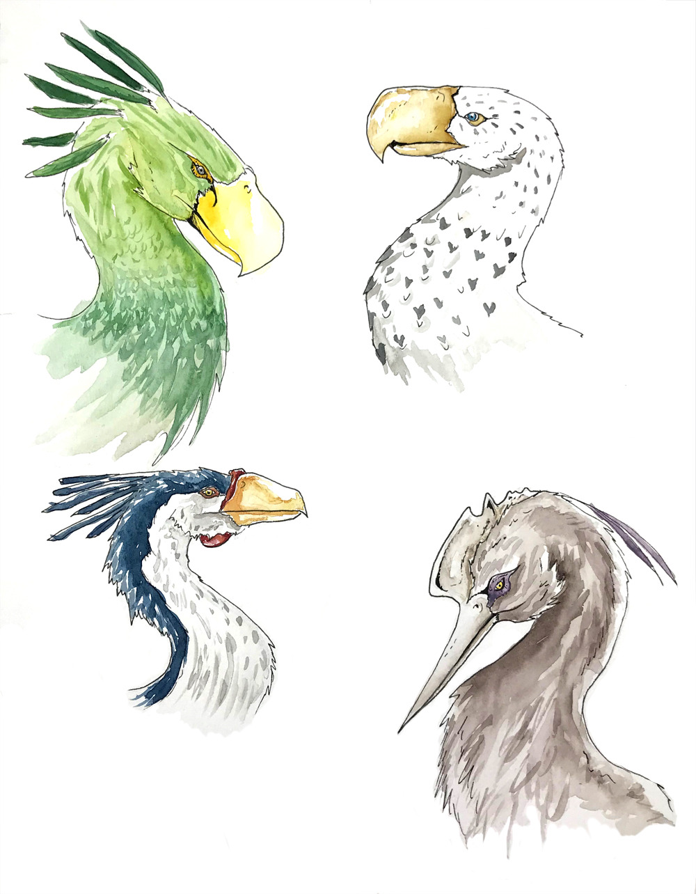 The terror birds never stop? An inked painting...