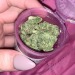 trixforadults:Gorilla glue always gets me 💕