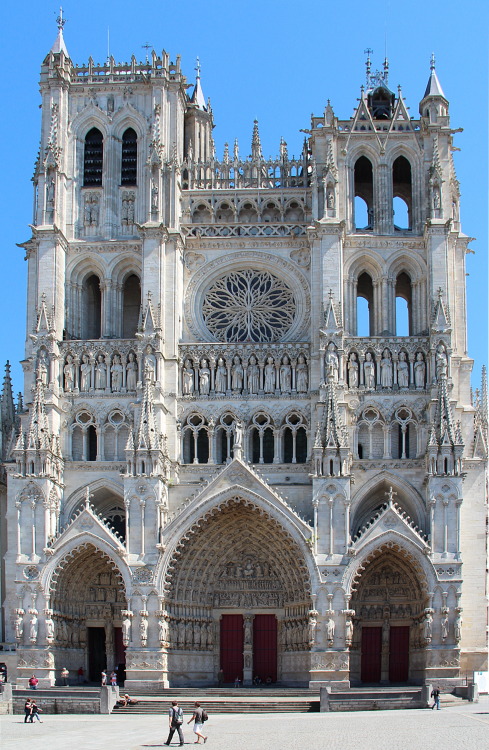 Cathédrale Notre-Dame, Amiens, views of the façade and the nave towards the counter-façade and the a