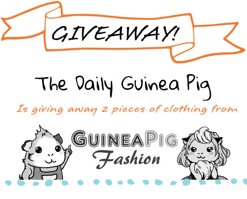 thedailyguineapig:  To enter to win one of these great prizes from Guinea Pig Fashion simply reblog 