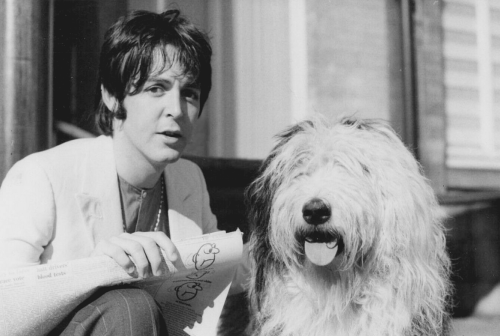 Paul McCartney photographed with his dog, Martha, in London on 30th June 1968.