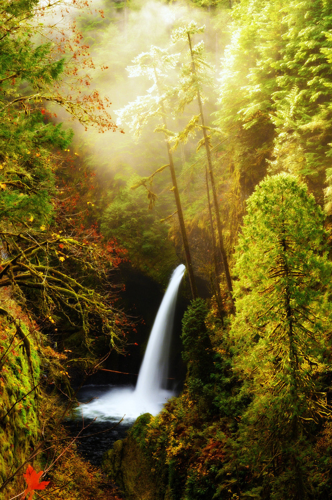 brutalgeneration:  Metlako Falls (by Darrell Wyatt)