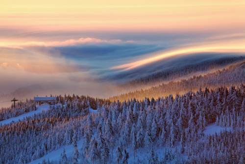 awkwardsituationist:  early winter fog over porn pictures