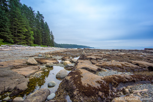 4.7.2014 - even though at hiking pace, its amazing how quickly the scenery changes and how much ther