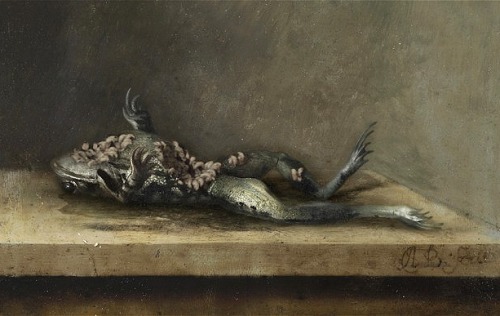 Transforming Vanitas (2012-2013), After Bosschaert The Younger’s «Dead Frog with Flies» (1630) by Ro