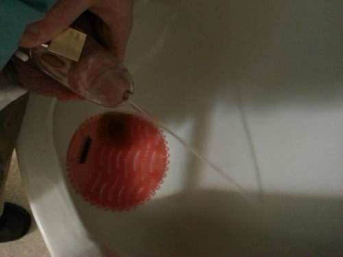 chastityliving:  thedudewhosadude:  Psh. I’ll piss standing up, thank you very much.  http://chastityliving.tumblr.com/ 