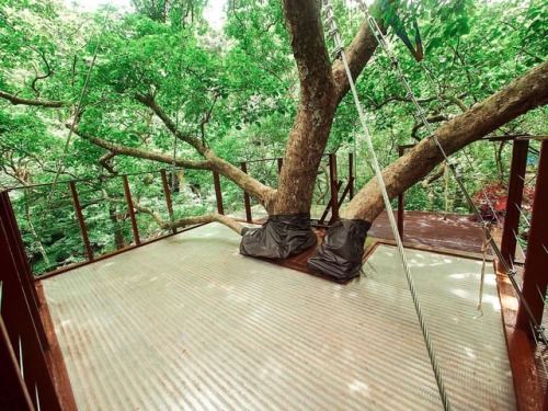 Porn utwo:  Treeful Treehouse EcoResortOkinawa© photos