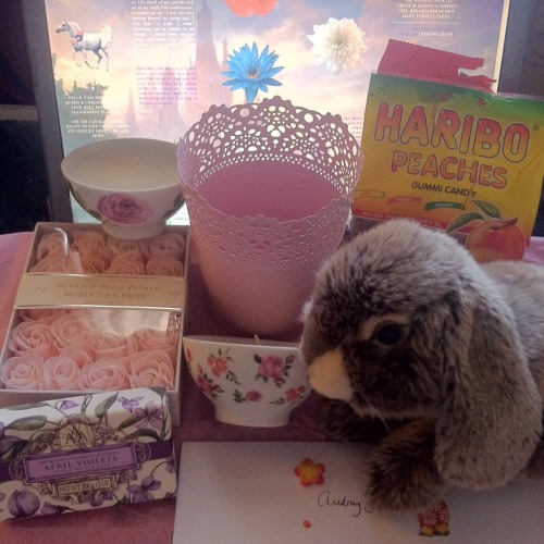 transparent-flowers: heavenlyhybrid: oh my god my giveaway prize from transparent-flowers just got h