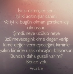 Arda Erel