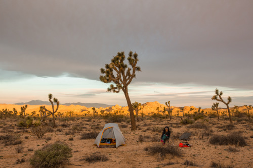 Joshua Tree National ParkWe backpacked during sunset and found a lovely spot to set-up camp. The fol