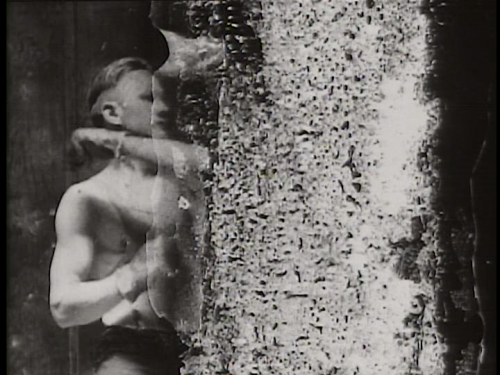 crumbargento:  Decasia : The State of Decay - Bill Morrison - 2002 (67min)