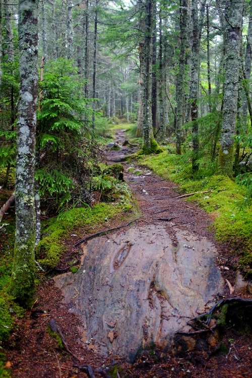 pedrodynomite:all in a days walk aaaawww :3 Loooffff