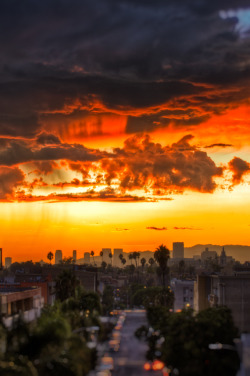 vurtual:  Sunset After the Rain - Los Angeles,