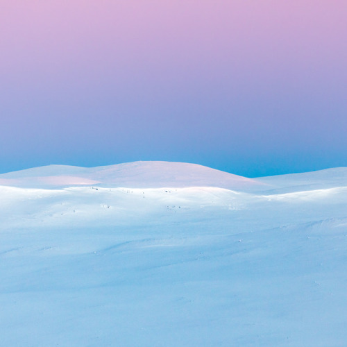 tiinatormanenphotography:Arctic minimalism. Käsivarsi wilderness area, Finland. 2017 