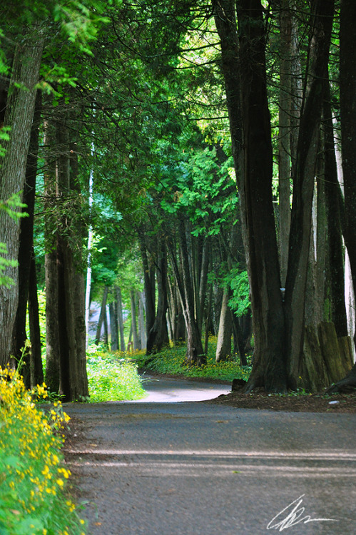 Mackinac Island, Michigan