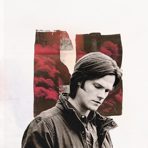 amelliwood: Listen, Sam, I may not be able to carry the burden that comes along with these tria