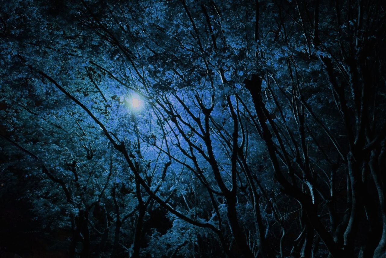 sparklightsdream:  Not all is as it seems.