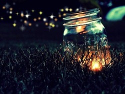 fineapple4u:  Fireflies..💙✨