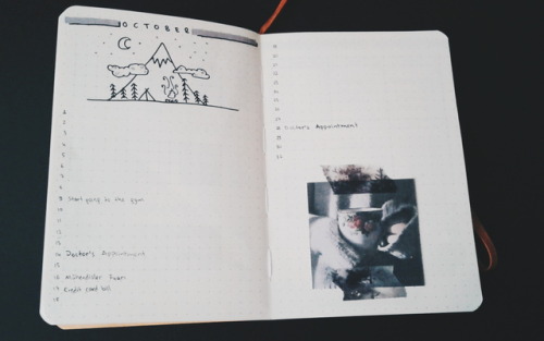 whateverthesoupisgettingcold:    100 intentional things: day oneHello beautiful people. Today I wanted to share my new a6 bujo setup. I have a future log - inspired by @gloomy-collects -, a semester tracker - inspired by @maryplethora - , a monthly and